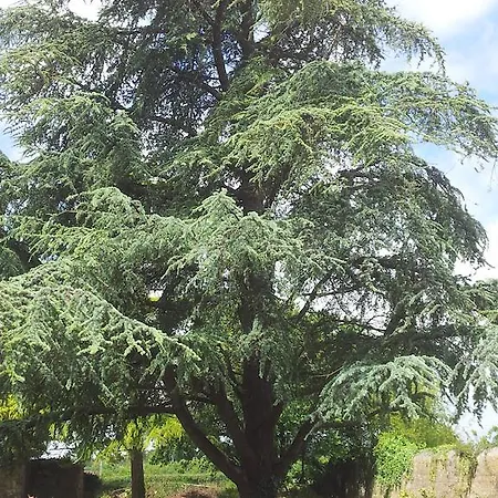 La Musardiere Écrammeville
